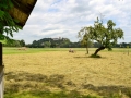 Blick auf Neubeuern- Sommer-