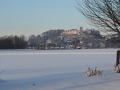 Blick von Kirschbaum auf Schloß Neubeuern