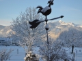 Wetterhahn Winter